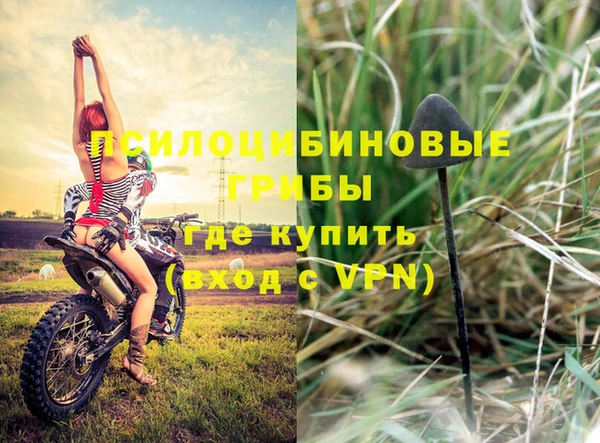 молекула духа Балабаново